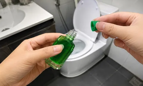 Tác dụng của việc đặt lọ dầu gió trong nhà vệ sinh