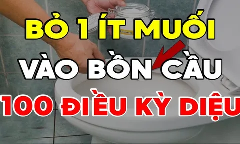 Vì sao nên bỏ 1 nắm muối vào bồn cầu