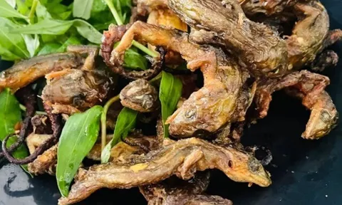 12 món đặc sản Việt Nam có mùi lạ, vị nồng nhưng nhiều du khách ăn xong lại mê mẩn, khó quên