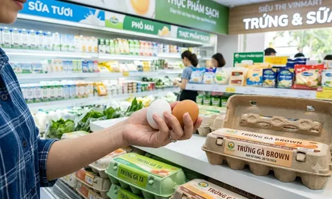 Đi chợ thấy loại trứng này giá rẻ hơn nhiều, có nên mua? Không phải ai cũng biết sự khác biệt