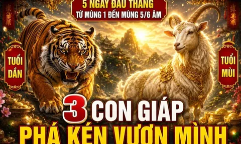5 ngày đầu tháng từ mùng 1 đến mùng 5/6 Âm: 3 con giáp Phá Kén vươn mình