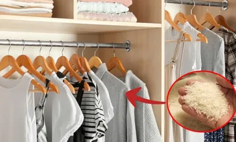Tại sao bạn nên để một túi gạo trong tủ quần áo?