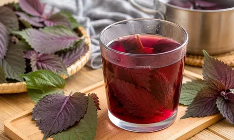 Cách nấu nước tía tô để phát huy công dụng: Nhiều người uống mỗi ngày nhưng lại làm sai từ bước đầu