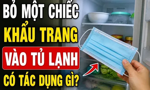 Bỏ một chiếc khẩu trang vào tủ lạnh có tác dụng gì?