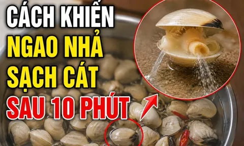 Cách khiến ngao nhả sạch cát sau 10 phút