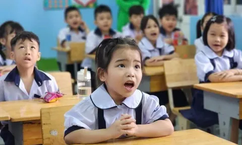 Tuyển sinh lớp 1 và lớp 6 ở TP.HCM: Phụ huynh cần làm gì khi có kết quả, giúp con nhập học đúng mong muốn