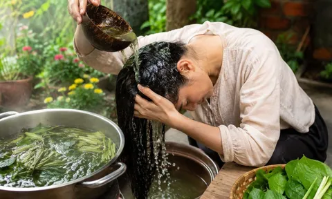 Cách nấu nước gội đầu từ các loại rau, lá cây giúp tóc mềm mượt, hỗ trợ mọc tóc nhanh