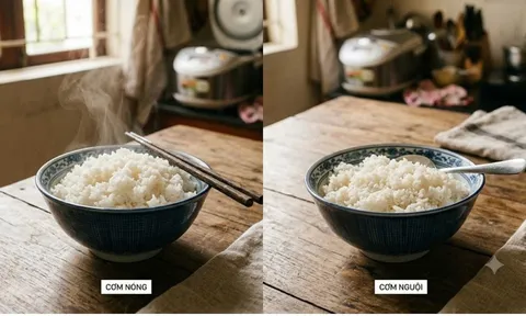 Cơm để nguội có gì khác cơm nóng?