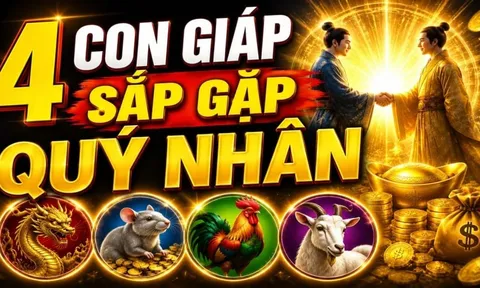 4 con giáp được thời phất lên, số hên sau tuổi 40