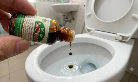 Nhỏ dầu gió vào bồn cầu: Mẹo vặt "thần thánh" giải quyết ngay nỗi kinh hoàng trong nhà vệ sinh