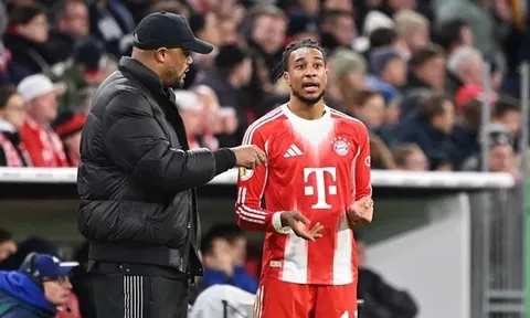 Michael Olise cân nhắc rời Bayern để gia nhập Real Madrid