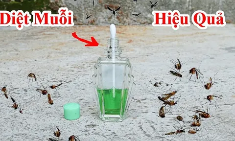 10 cách đuổi muỗi đơn giản, nhà sạch bóng không còn tiếng vo ve