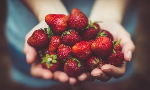 Loại quả nhỏ nhưng giàu chất chống oxy hóa, ăn thường xuyên có thể hỗ trợ duy trì làn da săn chắc