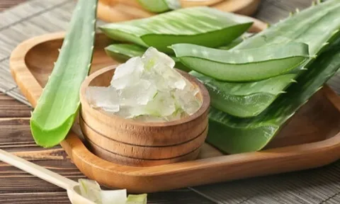 Gel lô hội có tốt cho tóc không? 3 lợi ích nổi bật và cách sử dụng đúng để chăm sóc tóc tại nhà