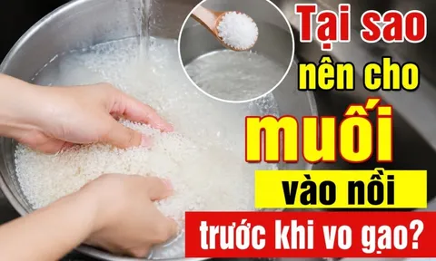 Tại sao nên cho muối vào nồi trước khi vo gạo?