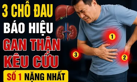3 chỗ đau báo hiệu gan thận kêu cứu, số 1 nặng nhất