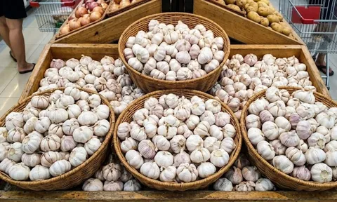 Tỏi ở siêu thị không mọc mầm: Nhờ 3 lý do này