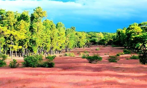Được ví như "Đà Lạt thứ 2" của cao nguyên, địa điểm nào ở Gia Lai thu hút khách du lịch gần xa kéo đến check-in?