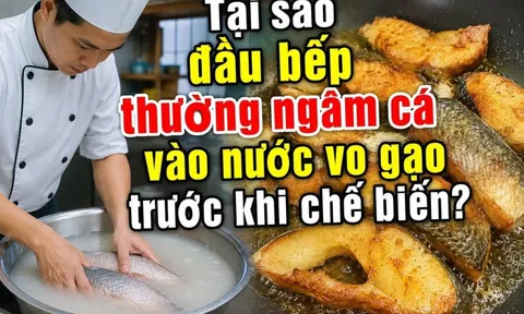 Tại sao đầu bếp thường ngâm cá vào nước vo gạo trước khi chế biến?