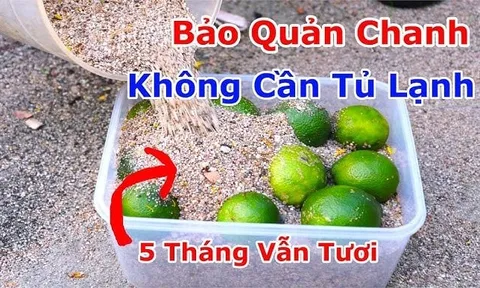 Cách bảo quản chanh để vài tháng vẫn mọng nước