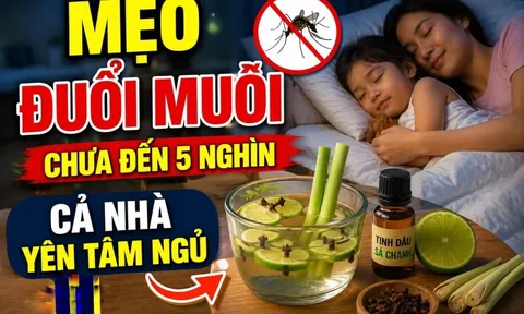 Mẹo đuổi muỗi chưa đến 5 nghìn, cả nhà yên tâm ngủ