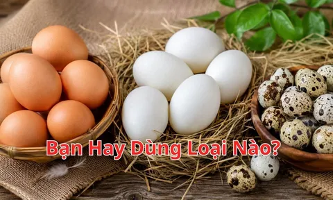 Trứng gà, trứng vịt hay trứng cút: Loại nào đáng ăn hơn?