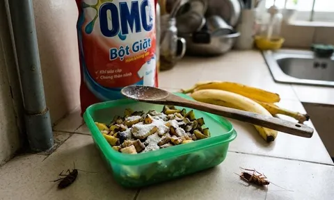 Vỏ chuối trộn bột giặt: Mẹo "thần kỳ" diệt sạch côn trùng, nhà nào cũng nên thử ngay!