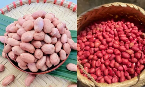 Lạc trắng và lạc đỏ: Nên mua loại nào?
