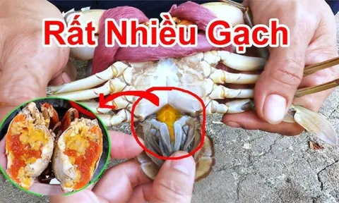 Đi chợ nên mua "cua đực" hay "cua cái" thì ngon hơn?