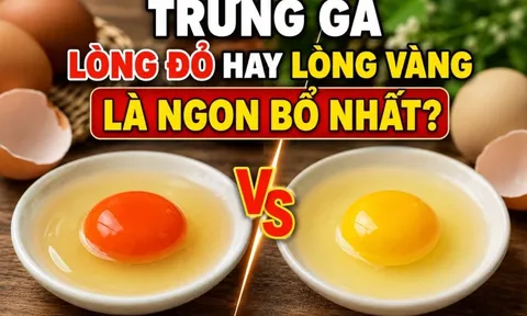 Trứng gà lòng đỏ hay lòng vàng là ngon bổ nhất?