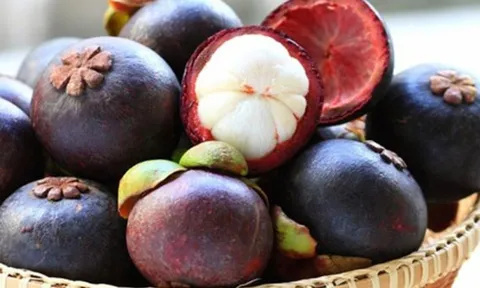 Tại sao nhiều khách sạn không cho mang măng cụt vào trong phòng?