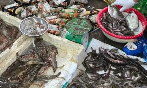 Ở Quảng Ninh có khu chợ cổ kính: Từ mặt hàng truyền thống nay thành địa điểm bán đủ thứ ai cũng mê