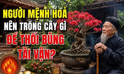 Người mệnh Hoả nên trồng cây gì để thổi bùng tài vận?