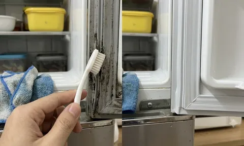 Gioăng cao su tủ lạnh bị mốc đen? 3 cách làm sạch đơn giản, hết mùi hôi chỉ sau vài phút