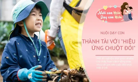 Dạy con theo "Hiệu ứng chuột đói", đứa trẻ lớn lên sẽ có một cuộc sống viên mãn không ngờ
