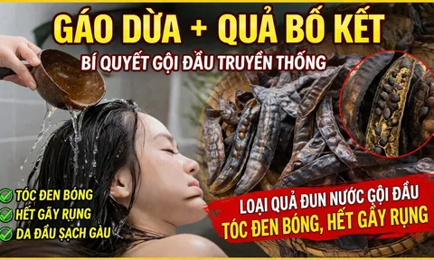 3 cách gội đầu sạch gàu, giảm rụng tóc, tóc con mọc tua tủa