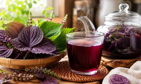 5 sai lầm khi nấu nước tía tô làm giảm giá trị, nhiều người vẫn mắc mỗi ngày