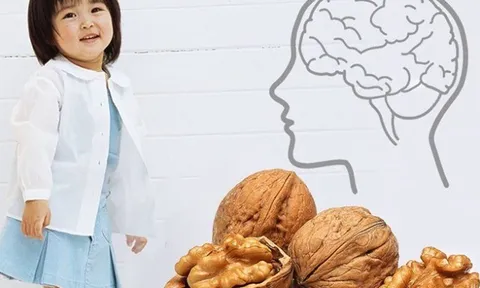Loại hạt "siêu thực phẩm" giàu Omega-3 tốt cho trí não của trẻ, chuyên gia chỉ ra các lợi ích ít người biết
