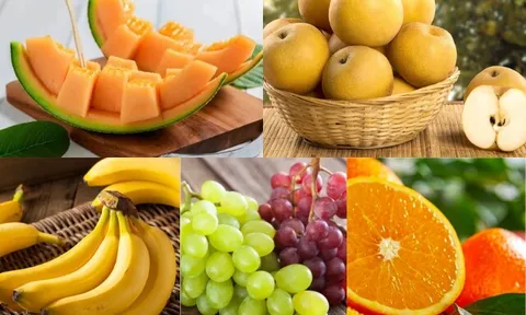 Trắc nghiệm tâm lý: Bạn gặp một cây lớn sum suê trái trên đường, đó là cây gì?