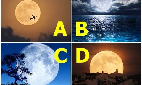 Trắc nghiệm: Chọn một mặt trăng, biết ngay nửa kia sẽ mang đến giàu sang hay áp lực cho bạn