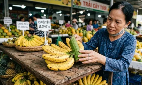 Mua chuối đừng chỉ nhìn màu vàng: Người bán tiết lộ dấu hiệu nhận biết chuối ngon