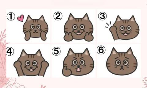 Trắc nghiệm tâm lý: Bạn thích chú mèo nào nhất?