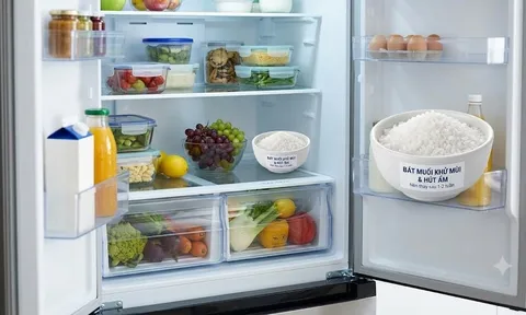 Vì sao các bà nội trợ thông minh luôn đặt 1 bát muối vào tủ lạnh?
