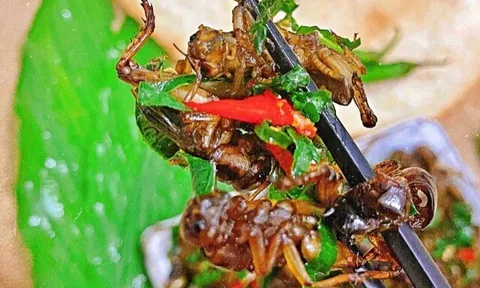 13 đặc sản nổi tiếng Đồng Nai, có món thoạt nhìn đã sợ nhưng vô cùng béo ngậy, thơm ngon, giá từ 50.000 đ/phần