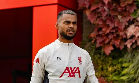 Romano xác nhận Tottenham muốn chiêu mộ Gakpo