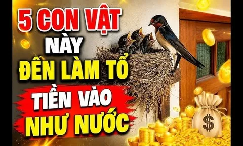 5 con vật vào nhà Thần Tài Mang Lộc Tới: Đừng dại đuổi đi kẻo mất lộc