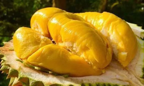 5 người không nên ăn sầu riêng, càng ăn càng gây hại