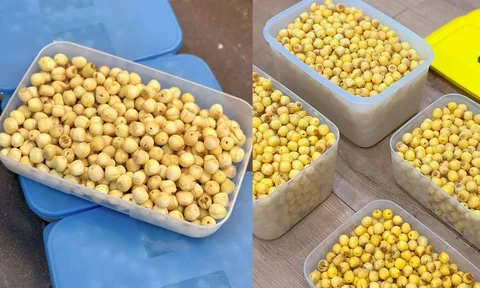Mẹo bảo quản hạt sen: Mua một lần, để cả năm vẫn thơm bùi, không thâm xỉn