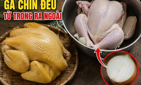 Luộc gà không cần nước, cho nửa củ này vào nồi gà chín đều từ trong ra ngoài