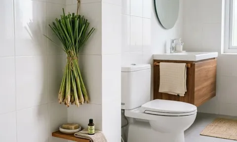 Mẹo khử mùi hôi nhà vệ sinh, không cần sáp thơm